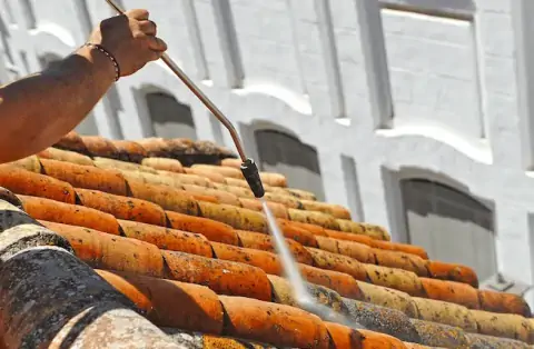 Nettoyage de toitures - Richwiller